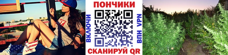 Все наркотики Коряжма Cocaine  Альфа ПВП  ГАШИШ 