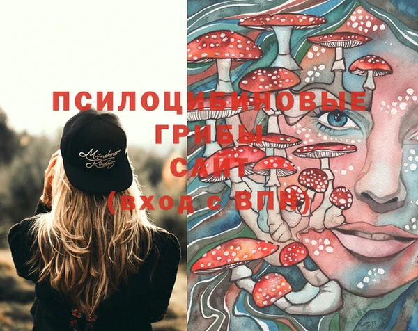 трава Кинешма