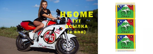 гашик Новодвинск