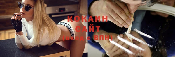гашик Новодвинск