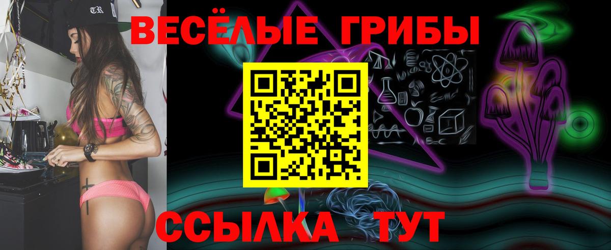 Псилоцибиновые грибы ЛСД  Вход с VPN  Коряжма  Галлюциногенные грибы Psilocybine cubensis 